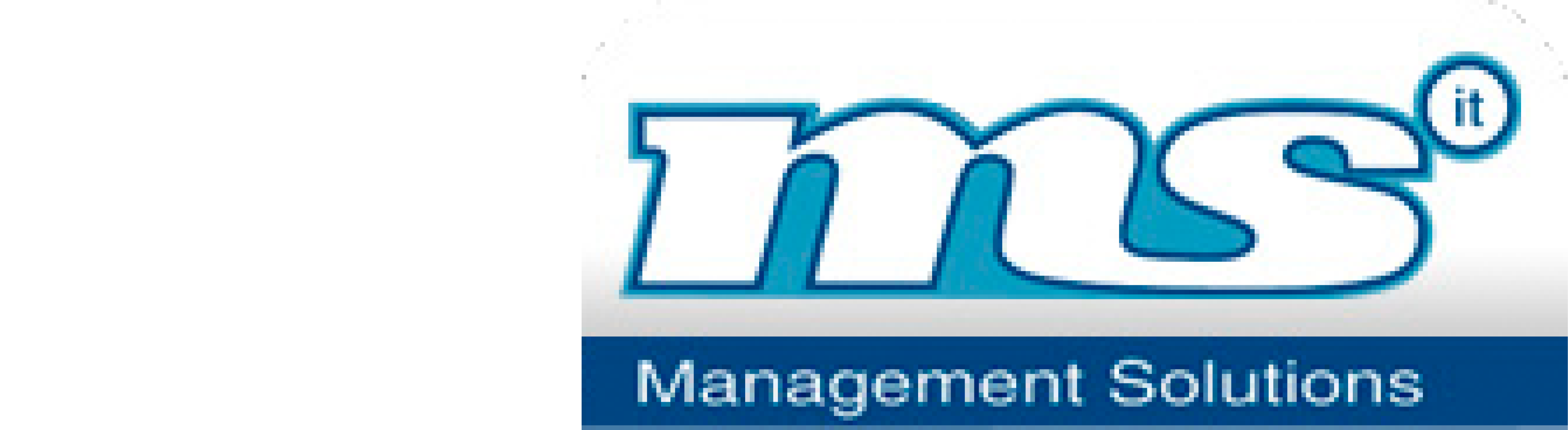 logo M S I T management solutions